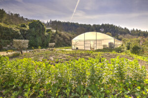 02-NATURENA-SR-LUIS-PEDRO-8 02-NATURENA-SR-LUIS-PEDRO-8
