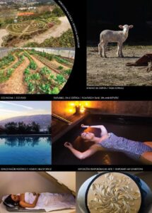 07-NATURENA-SR-LUIS-PEDRO-2 07-NATURENA-SR-LUIS-PEDRO-2