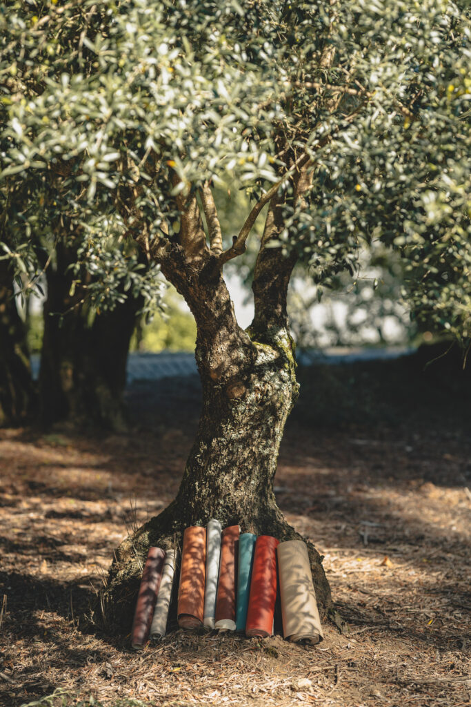 origin, exterior, sr luis pedro (17c) A viagem começa na natureza, mostrando as oliveiras como símbolo da coleção "Origin" e os tecidos apresentados como o fruto de um processo que une inovação, sustentabilidade e estética.
