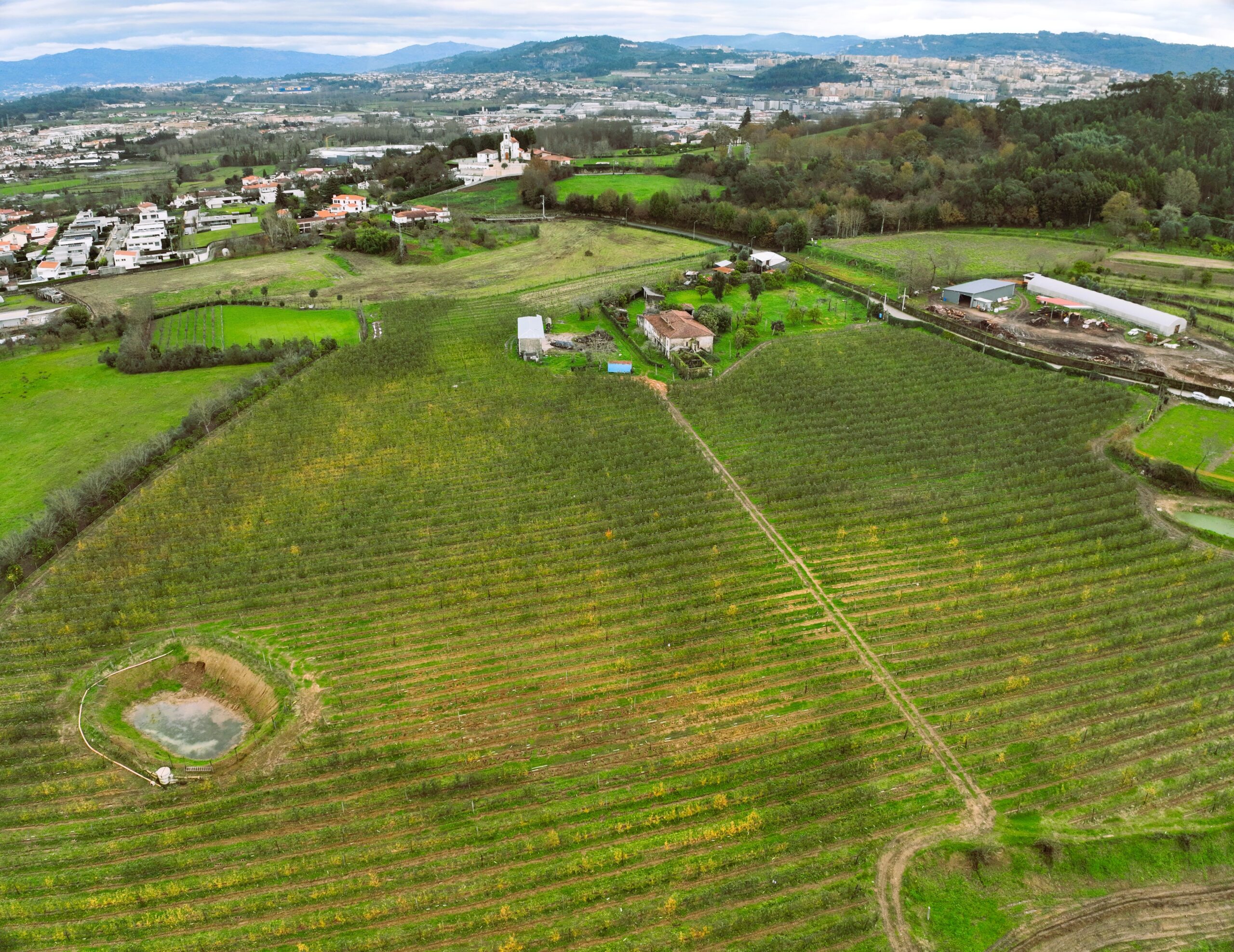 Quintas de Tibães